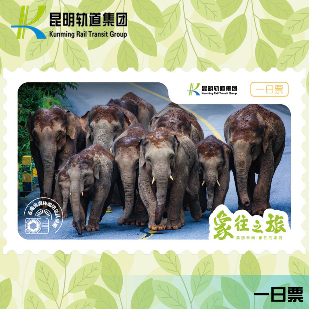 直播-象往之旅大象冰箱贴文创地铁交通卡一日票(限昆明地铁使用）