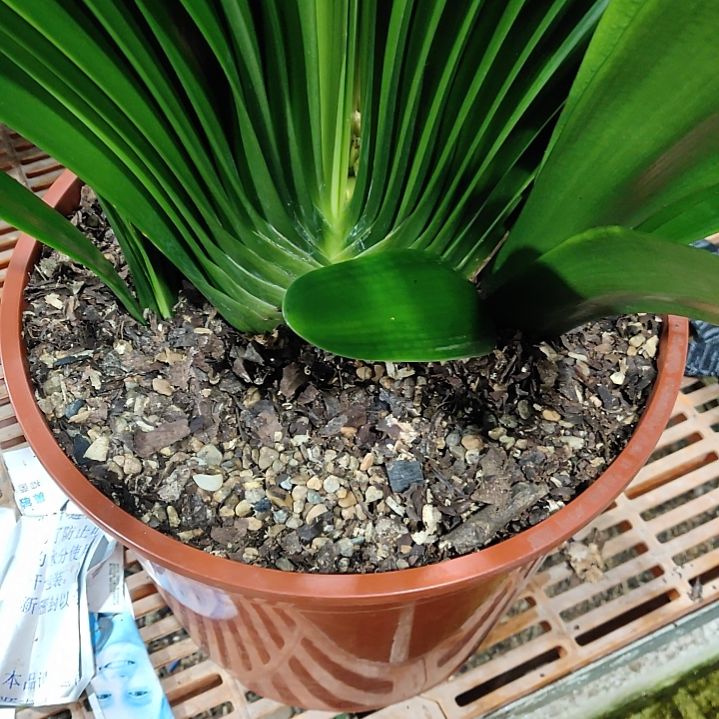 完全开放111111111111