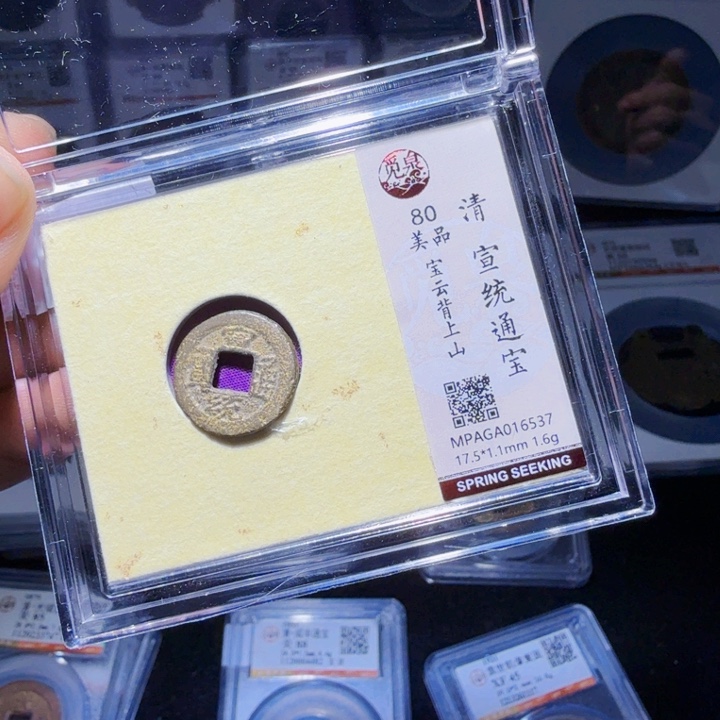 铜DX评级币一个，6537