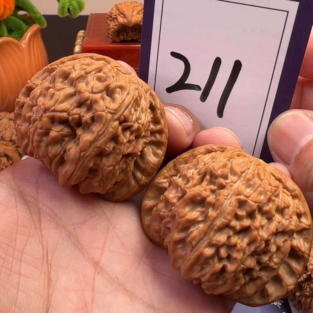 文玩核桃把件球白48尺寸211号