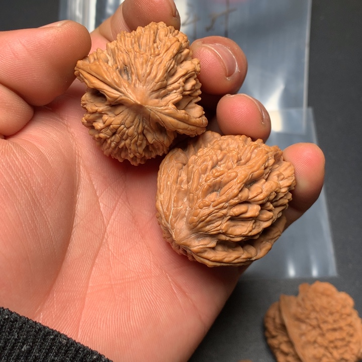 文玩核桃把件40虎头39