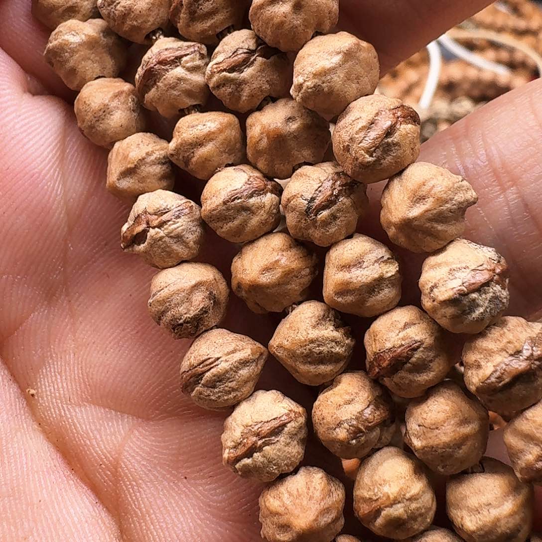 吊坠柏香籽/百香籽