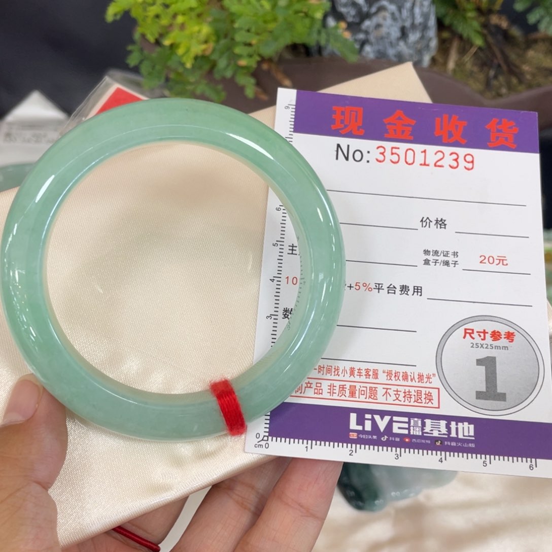 未镶嵌手镯翡翠开**我