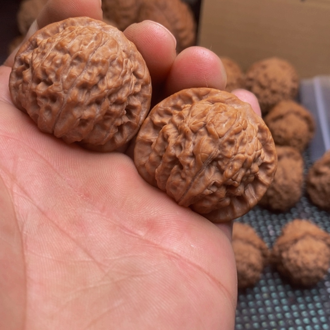 文玩核桃。天地小种果