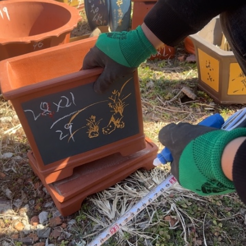 紫砂花盆紫砂花盆盆景盆栽