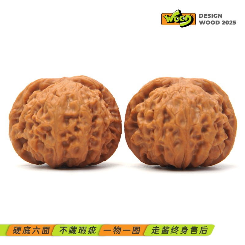 「龙眼元宝 XM1027」40*38*30/孤品毕业/高端小众/树王尺寸/全品