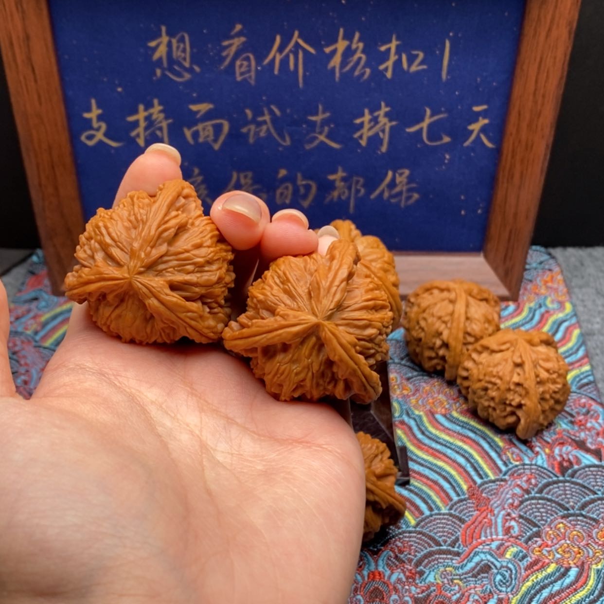 【闪购商品】L*宇白狮