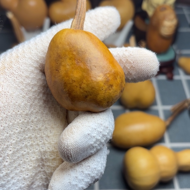 风***由坑6666666666666666