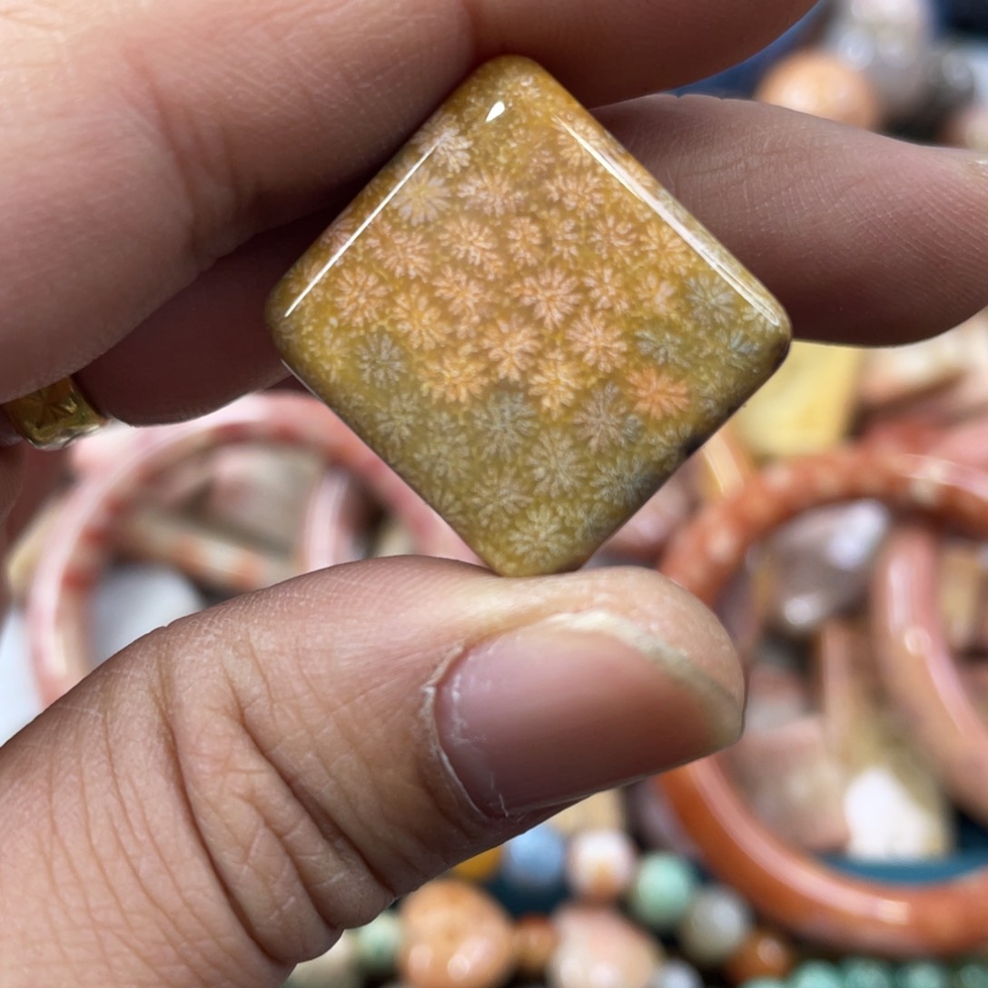 未镶嵌手镯硅化玉