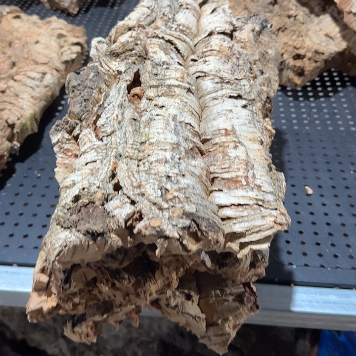 用***7无花朵一物一拍一物一发