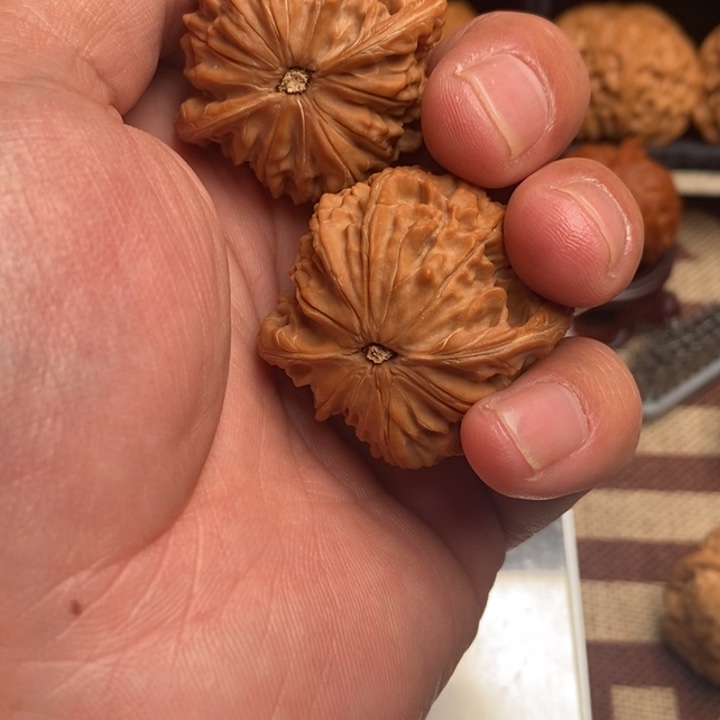 阔***子全品山地磨盘40尺寸