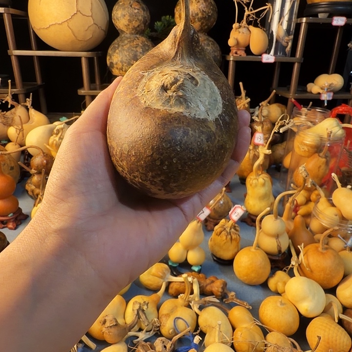 森***e葫芦大厚皮是真的好看