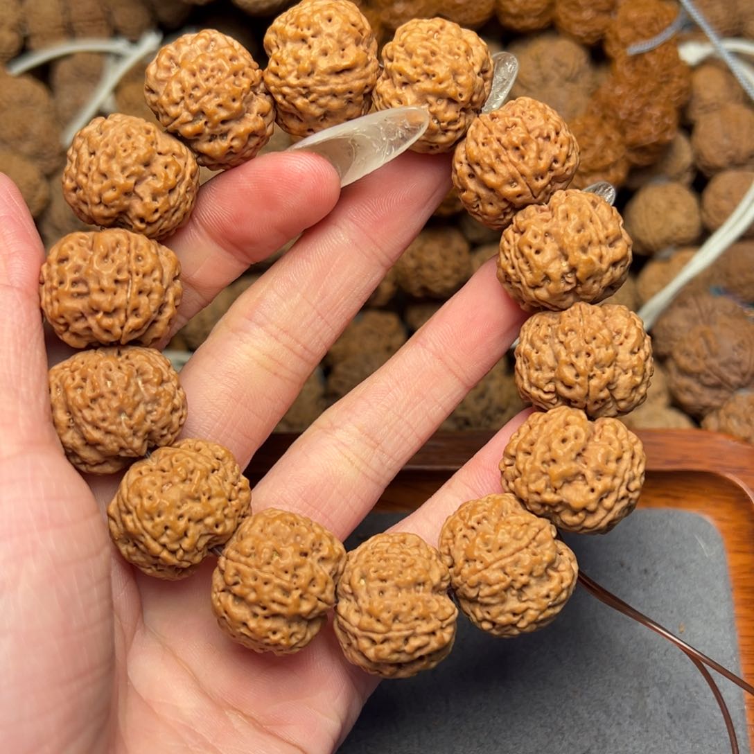 菩提2号尼泊尔大金刚22蜂王梅花