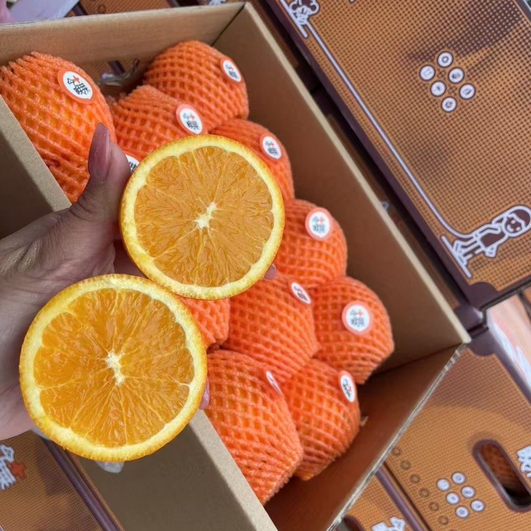 【老沙严选】当季新鲜秭归“今晚加菜”夏金橙 礼盒装7斤左右