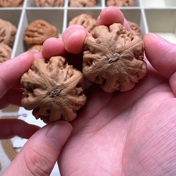 把件文玩核桃M****龍