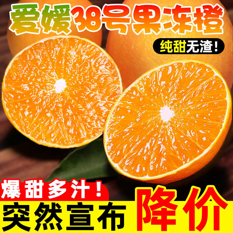 四川爱媛38号果冻橙新鲜现摘爆甜多汁无籽无渣水果XM