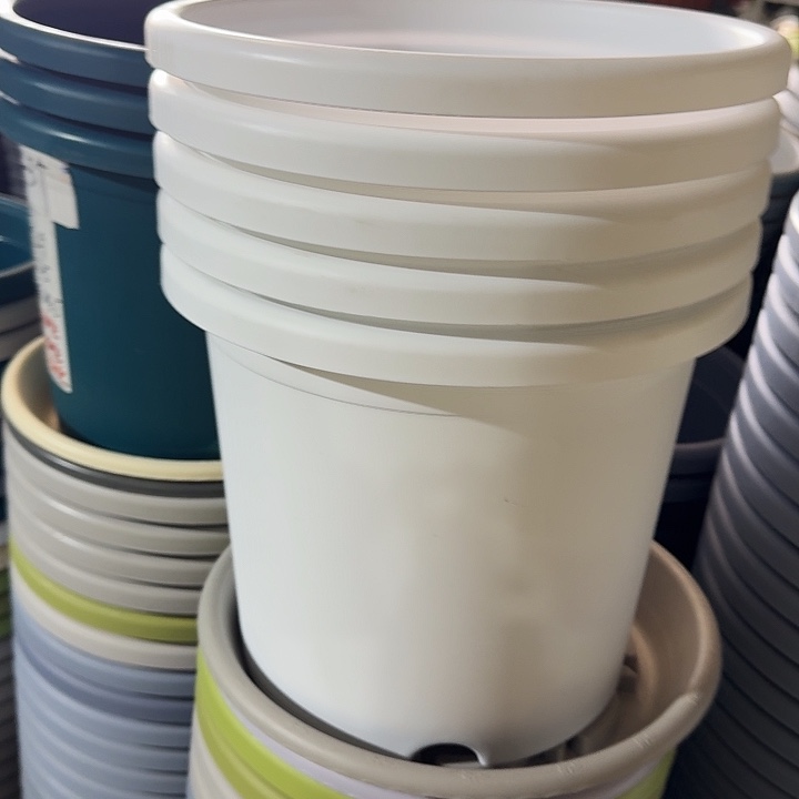 微瑕5#白色6个无托