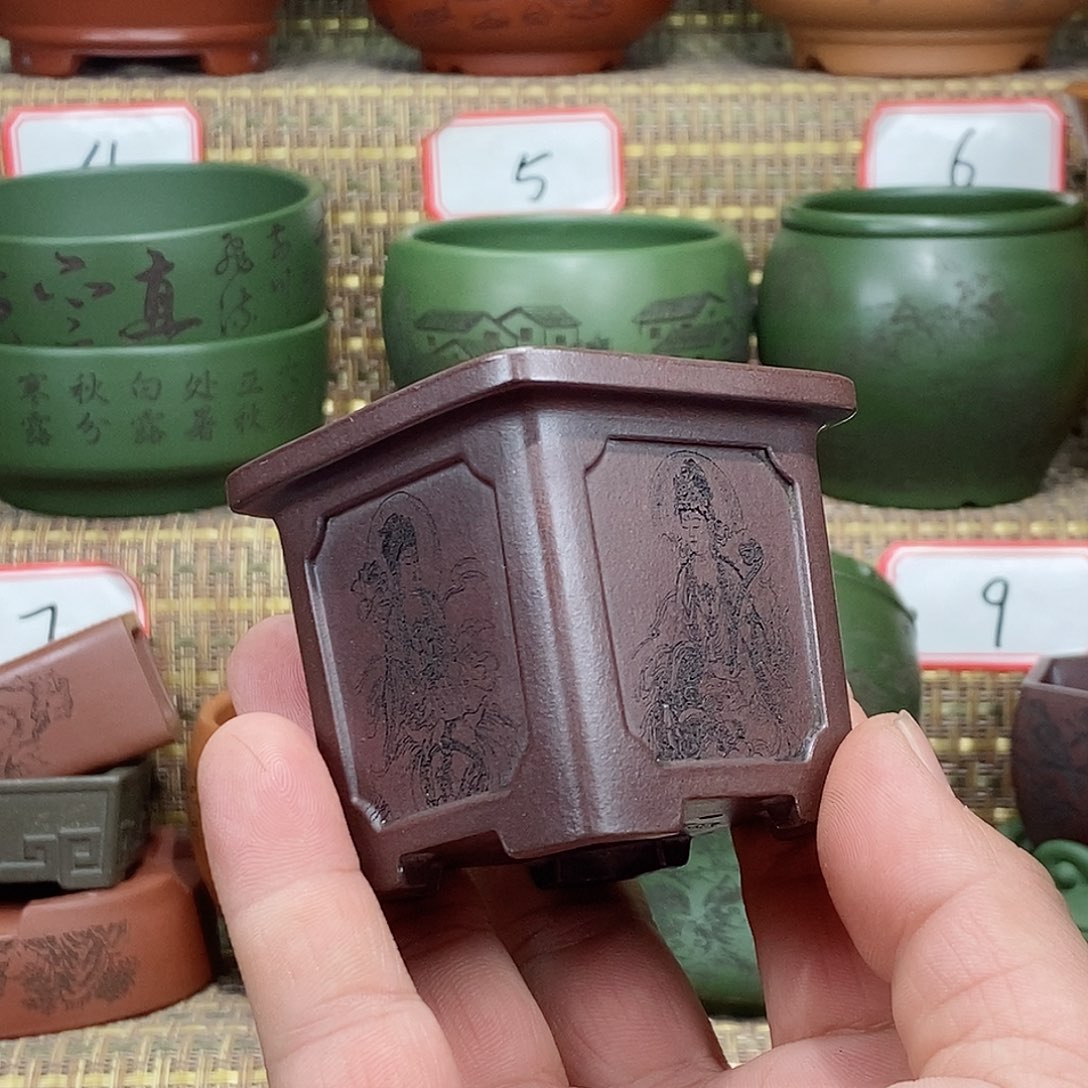 紫砂花盆我在等一