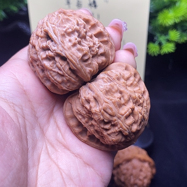 核桃把件41全品白狮子三角白