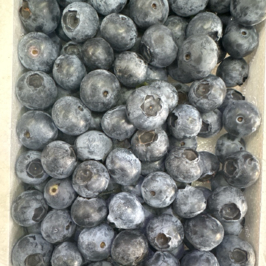 新鲜蓝莓蓝莓 香甜多汁脆爽 1件350克（14mm+）起辽宁发货水果同城送蓝莓同城送云南省