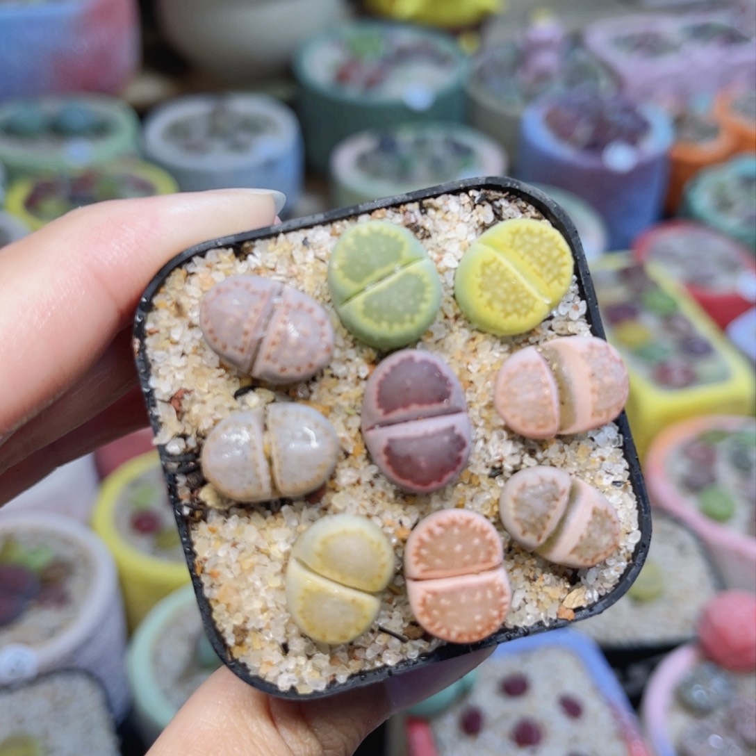 046。08888888888888888