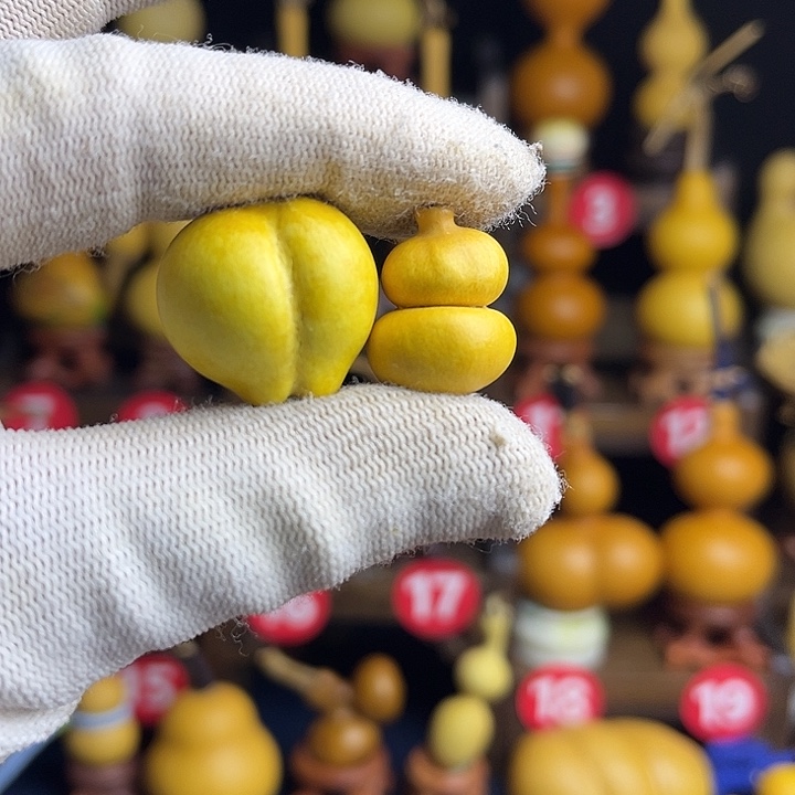 屁桃➕钱袋子草里金