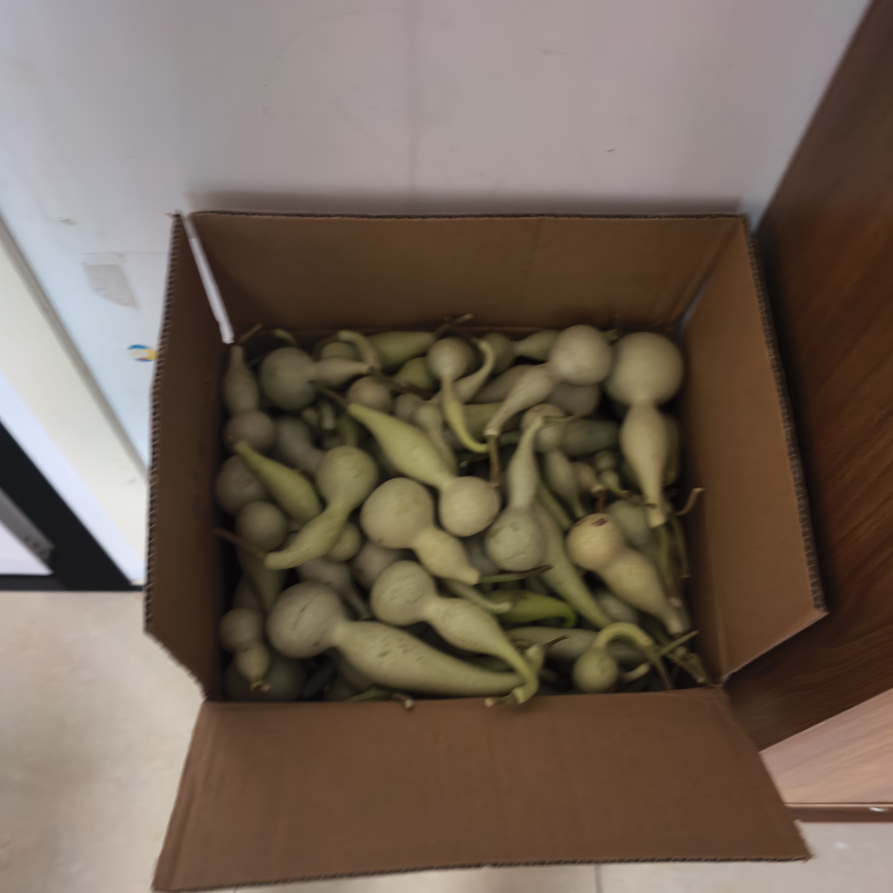 青皮葫芦工艺品摆件