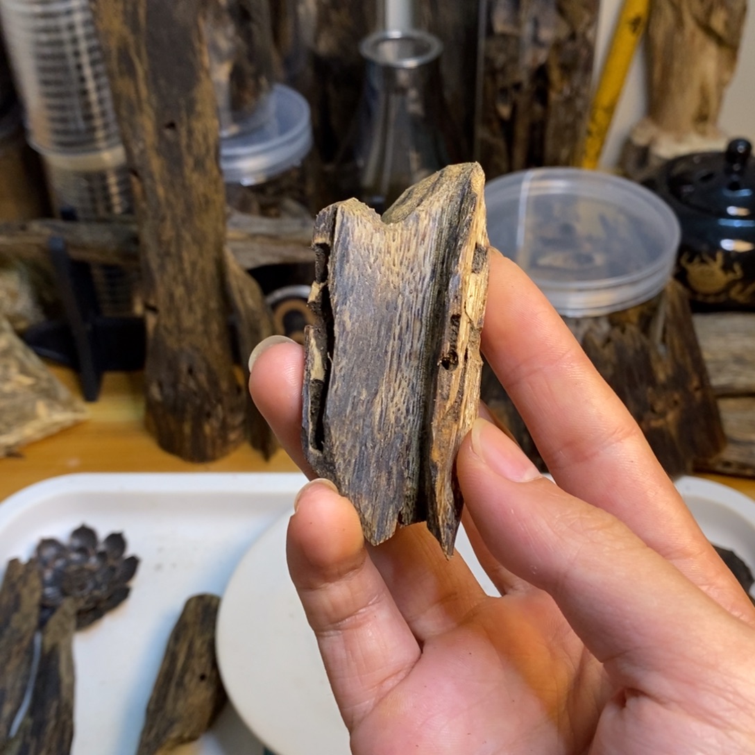 线香虫漏香薰15克