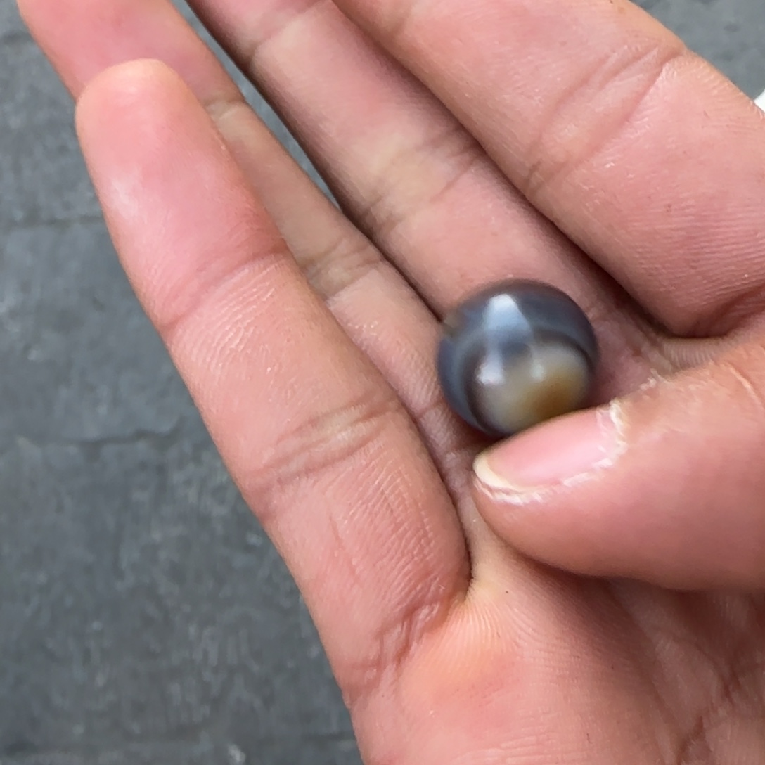 拉萨市的拉萨市的