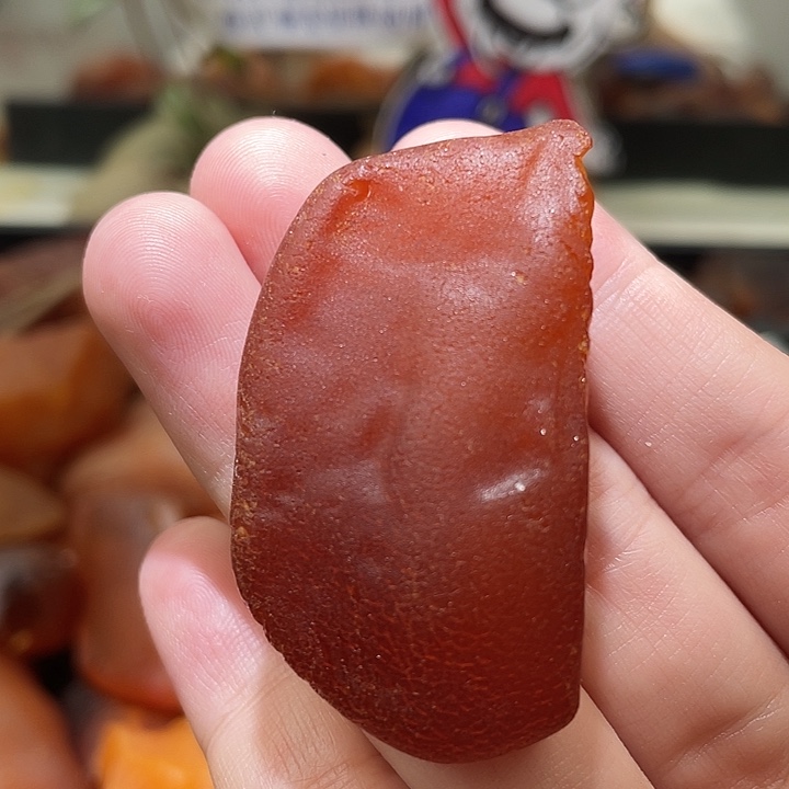裸石琥珀未镶嵌海漂全皮