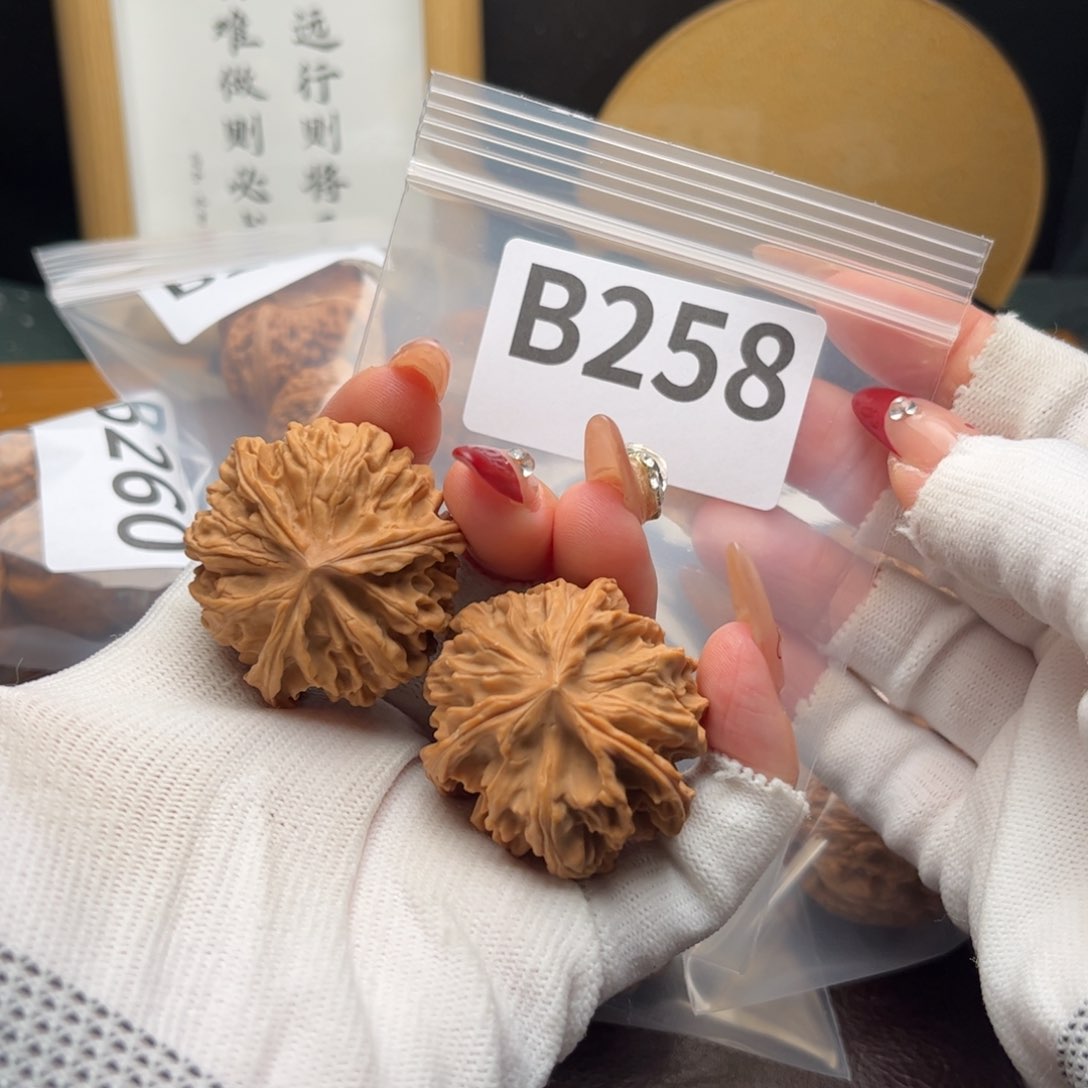 文玩核桃把件39岐山b 258