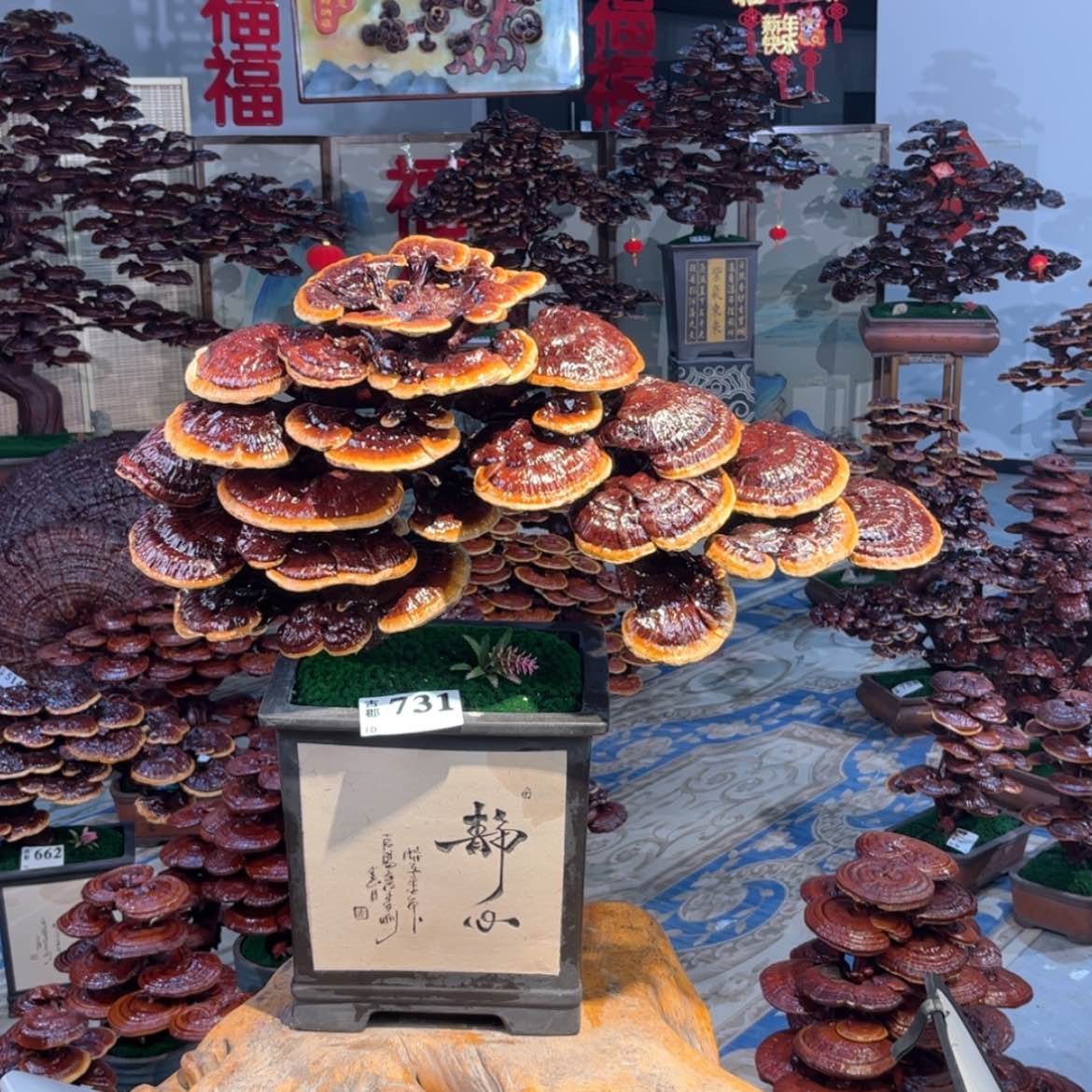 【闪购商品】88888