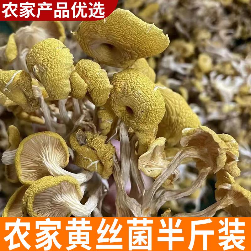 （半斤装）农家新货干黄丝菌 农家新货好货煲汤