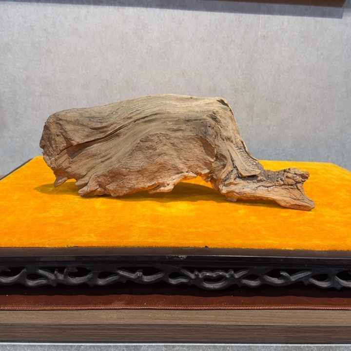 鸡翅木叫**羿崖柏阿啊阿