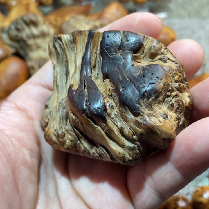 其他柏木（崖柏）把