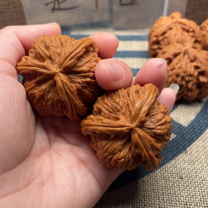 蝴***梦核桃白狮子44核桃
