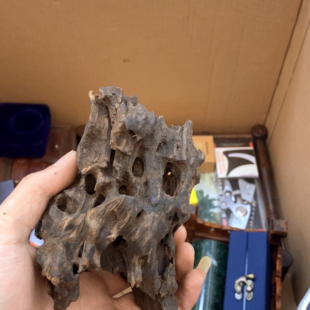 瓷片哈哈哈哈哈哈哈