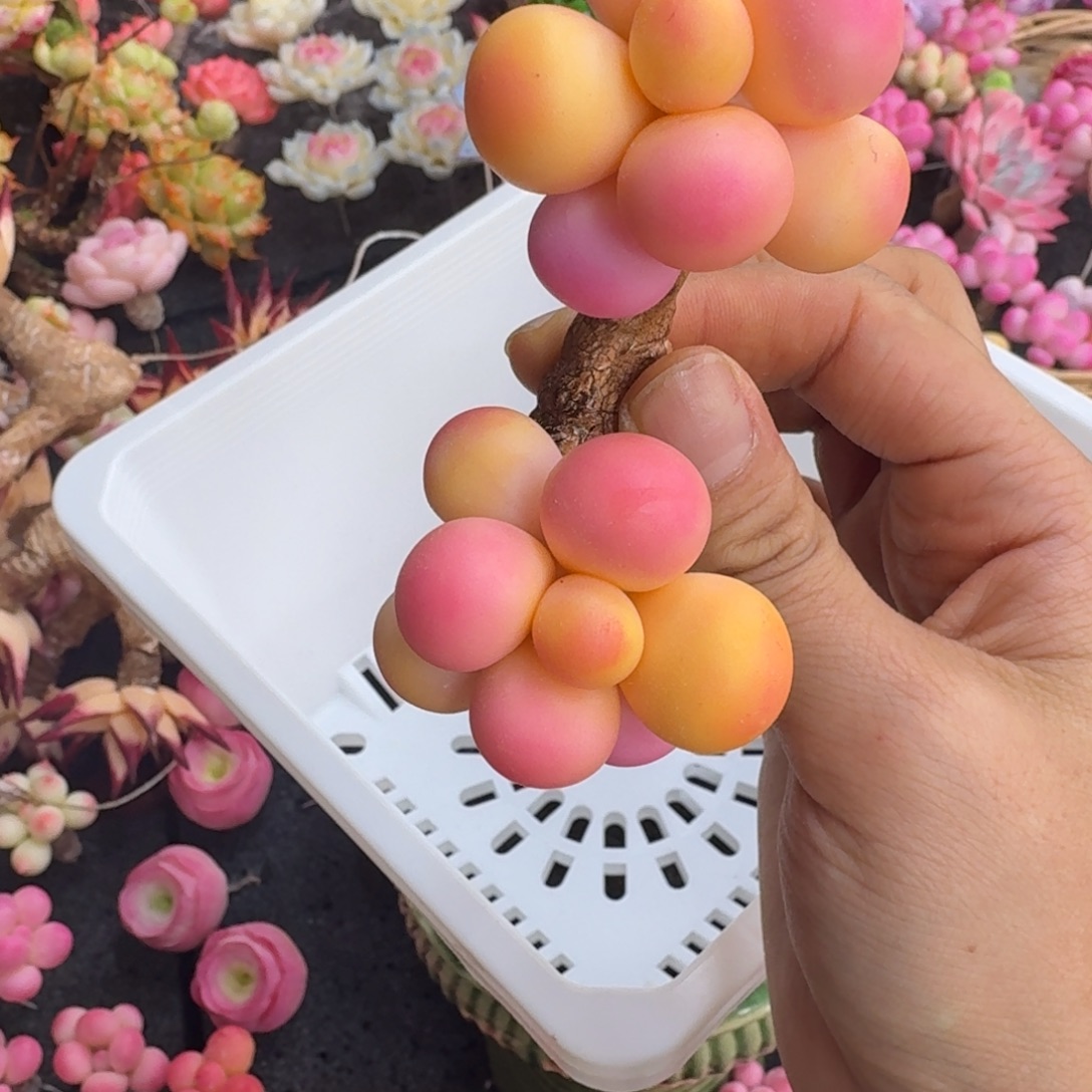 树脂416号哦哦哦哦哦哦哦