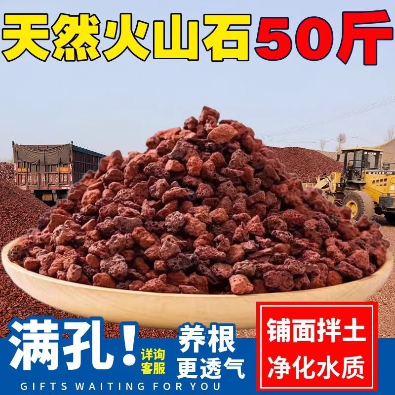 【50斤-100斤装】天然火山石鱼缸专用水族垫底砂造景火山岩颗粒养鱼