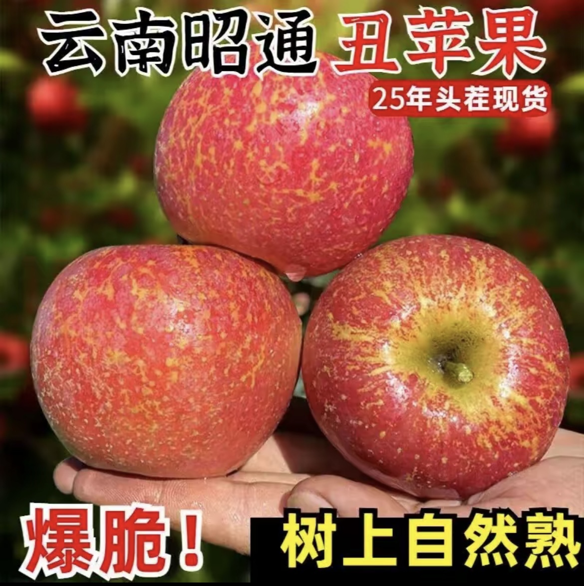正宗云南昭通冰糖心丑苹果新鲜脆甜当季热卖水果
