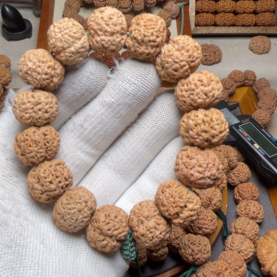 金刚菩提手串中**岁梁产区五星蜂王头货21左右