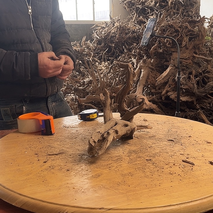 布***爬木鱼缸造景。       125