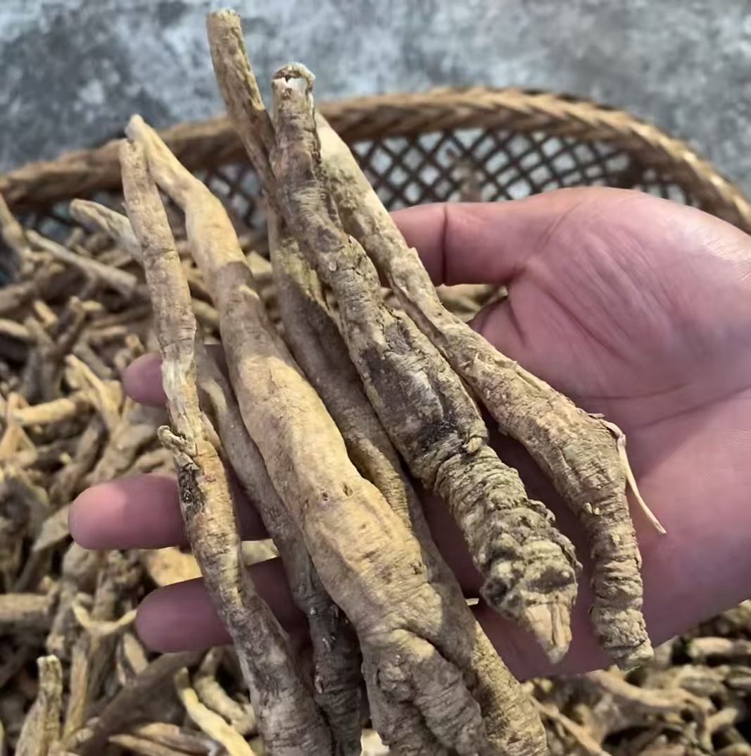 【谭老师严选】沙参 可搭玉竹麦冬煮水煲汤袋装250克/袋