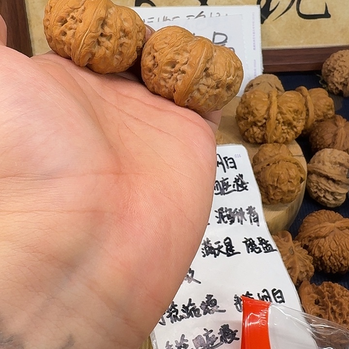 香榧木45有修金锭元宝专用链接