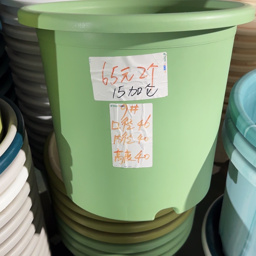 微瑕9#口径46无拖新绿色3个