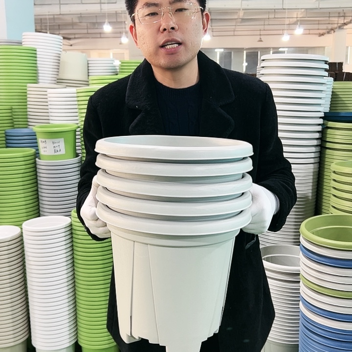 清仓青山口32高28灰白色5只无托