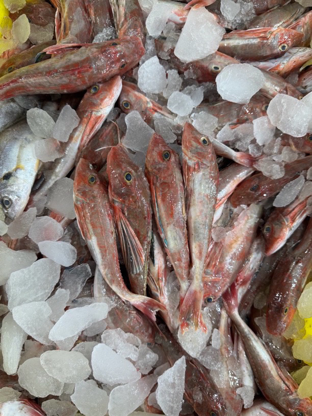 连云港海捕 红娘鱼10斤（1斤5条）