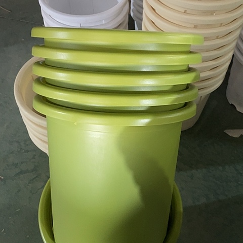 树脂特价8号5个无托果绿