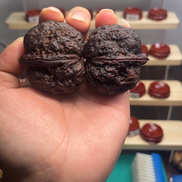 月***涧核桃金蟾王48尺。  