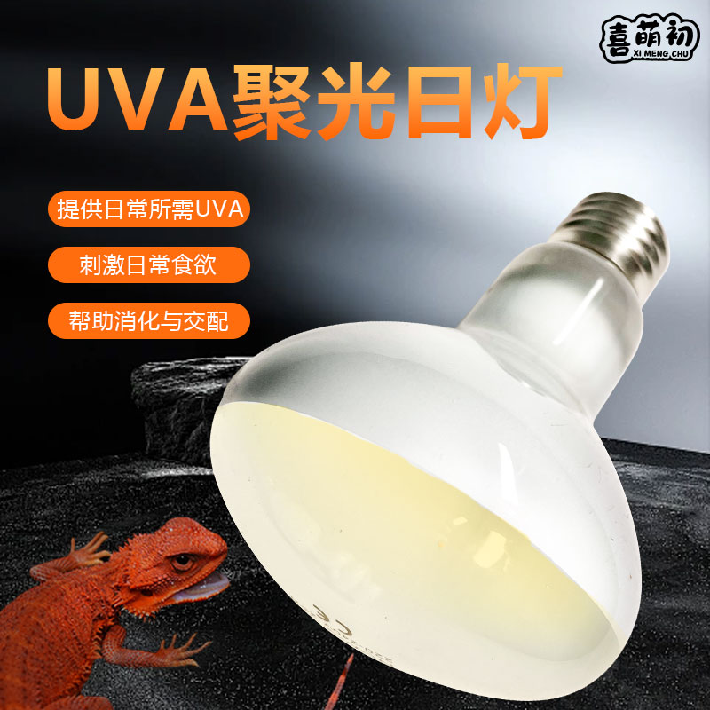 喜萌初爬宠专用UVA灯鬃狮蜥斑帆双冠刺猬鹦鹉芦丁鸡加热灯
